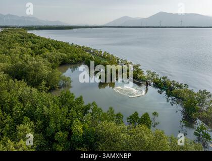 Aerial view of a serene fishing scene with a traditional fisherman casting a net in shallow waters surrounded by a lush mangrove forest, Ninh Hai, Vie Foto Stock