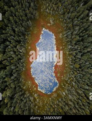 Vista aerea del tranquillo lago circondato da una foresta lussureggiante e da alberi tranquilli, Brantingham, Stati Uniti. Foto Stock