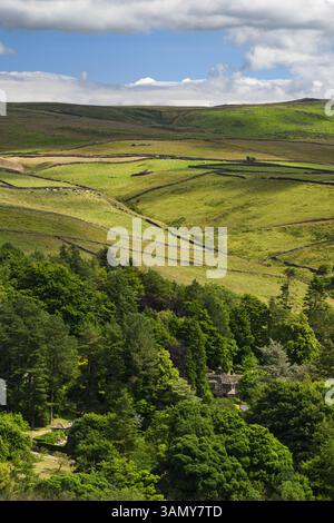 Parcevall Hall Gardens annidati tra alberi (boschi, pendii ripidi, pascoli ondulati, cielo blu) - Skyreholme, Yorkshire Dales, Inghilterra Regno Unito. Foto Stock