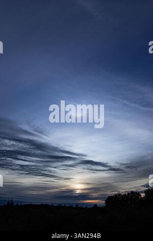 Un sottile cane da sole appare sopra l'orizzonte mentre il sole tramonta, proiettando una luce soffusa tra le nuvole a strati e una foresta sagomata. Foto Stock