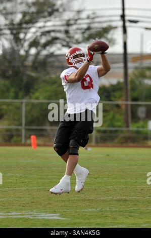 5 febbraio 2008 - Kapolei, Hawaii..il tight end di Kansas City Chief Tony Gonzalez riceve un passaggio durante le prove del Pro Bowl della AFC alla Kapolei High School, Kapolei Hawaii..Steve Kajihiro/CSM (Credit Image: © Steve Kajihiro/Cal Sport Media) Foto Stock