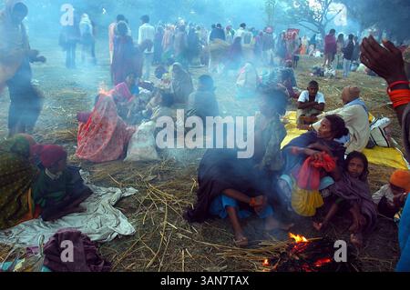 13 novembre 2008 - Sonepur, Bihar, India - nelle prime ore del mattino presso la zona fieristica. Il festival di Sonepur è famoso per la fiera del bestiame, che si tiene a Sonepur, nel nord dello stato del Bihar in India, sulle rive del fiume Ganga. È una delle più grandi fiere di bestiame in Asia. Secondo il calendario indù, il giorno della luna piena del mese di Kartik, cioè novembre è considerato uno dei giorni più favorevoli per gli indù. Un bagno alla confluenza e una visita al tempio di Hariharnath qui sono l'obiettivo per migliaia di devoti nel giorno di Kartika Purnima (13 novembre), e questa fiera continua per il 25 d.C. Foto Stock