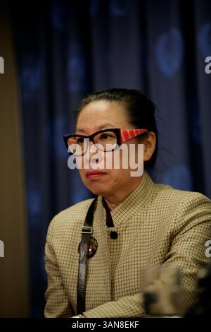 Nazioni Unite - New York - USA - ottobre 30 2008 - briefing sul dibattito dell'Assemblea generale sulla crisi finanziaria globale. FOTO DELLA signorina Sakiko Fukuda-Parr, professore di affari internazionali alla New School University. (Immagine di credito: © Luiz Rampelotto/ZUMA Press) Foto Stock