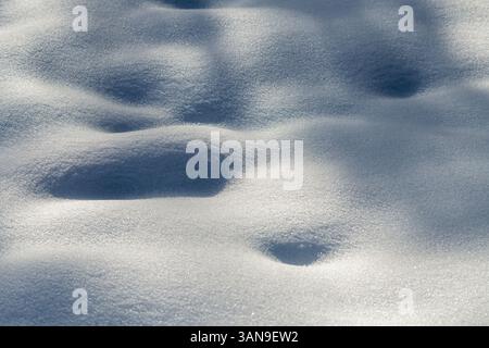 La neve è molto bianca e il terreno è coperto Foto Stock