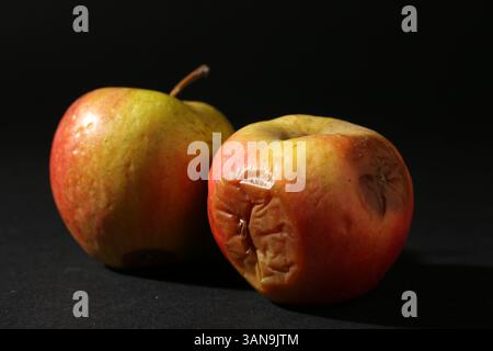Due mele marcio su sfondo nero, primo piano Foto Stock