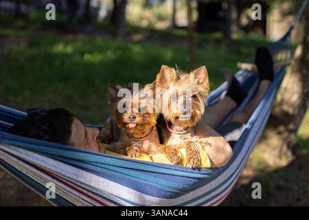Un uomo è sdraiato in un'amaca con due cani Yorkshire Terrier Foto Stock