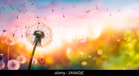 Dandelions Blowball con Flying Seeds in Abstract Defocused Meadow at Sunset - Freedom and Allergy Concept Foto Stock