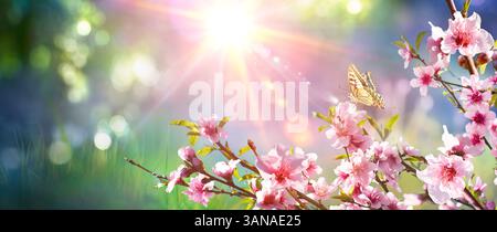 Spring Blooming - ramo in fiore rosa con luce solare in Abstract Fresh Meadow Foto Stock