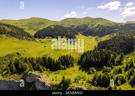 Vista aerea delle lussureggianti montagne verdi e delle tranquille valli con un sentiero tortuoso, punto panoramico Bendovac, Kolasin, Montenegro. Foto Stock
