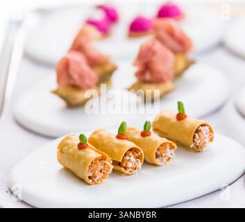 assortimento di formaggi e carne, antipasti e finger food Foto Stock