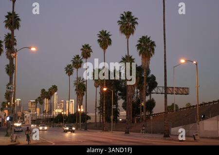 16 novembre 2006 - Los Angeles, California, USA - le palme fiancheggiano le strade dello skyline del centro di Los Angeles. (Immagine di credito: © Kevin Reece/ZUMApress.com) Foto Stock