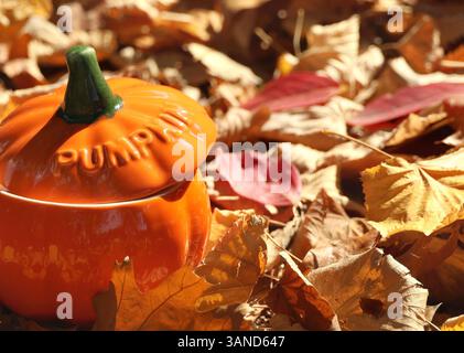 Una zuppa a forma di zucca tra le foglie cadute in autunno. Foto Stock