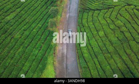 Vista aerea di un'auto che passa attraverso le piantagioni di tè di Rancabali in una giornata di pioggia nell'isola di giava occidentale, Indonesia. Foto Stock