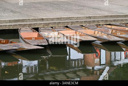 Cherwel Punting Company Boathouse e punt sul fiume Cherwell, Oxford Foto Stock