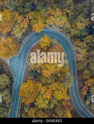 Veduta aerea di una strada tortuosa attraverso il colorato fogliame autunnale nel Covilha Florestal Park, Serra da Estrela, Portogallo. Foto Stock