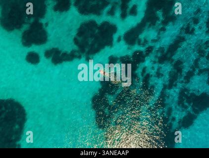 Vista aerea di donne che nuotano con le pinne nel mare dell'isola di Maganisi, Grecia Foto Stock