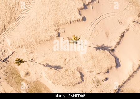 Vista aerea della sabbia sulla spiaggia, Taiba, São Goncalo do Amarante, Ceará, Brasile Foto Stock