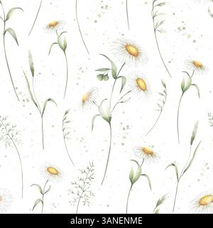 Motivo floreale senza cuciture di fiori selvatici acquerelli camomilla e erba da campo isolata dallo sfondo. Disegnare a mano prato giallo fiori e wi Foto Stock