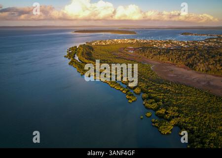 Vista aerea della lussureggiante foresta e mangrovie lungo la costa di Moreton Bay, Coochiemudlo Island, Victoria Point, Brisbane, Queensland, Australia. Foto Stock