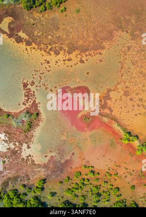 Vista aerea con drone delle mangrovie di Thornlands sulla costa di Moreton Bay vicino a Brisbane, Queensland Australia. Foto Stock
