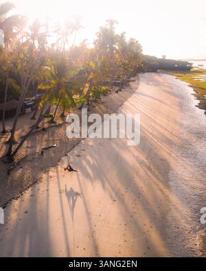 Vista aerea di Paliton Beach con una donna su un'altalena di corda e una barca all'alba, San Juan, Siquijor, Filippine. Foto Stock