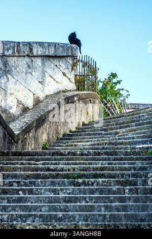 Gatto nero sedeva sul muro in cima alla lunga rampa di gradini di pietra - Loches, Indre-et-Loire (37), Francia. Foto Stock