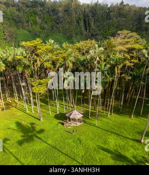 Vista aerea di una capanna di legno in un parco con alberi tropicali a Sainte Rose, Reunion. Foto Stock