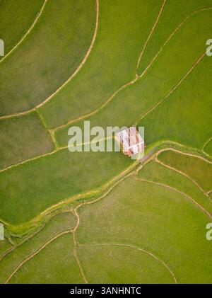 Vista aerea di una piccola capanna in legno in una splendida piantagione di riso durante una giornata nuvolosa, quartiere di Luang Prabang, Laos. Foto Stock