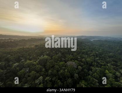 Vista panoramica aerea del tramonto nebbioso sulla lussureggiante foresta primaria di Halmahera Indonesia. Foto Stock