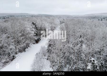 Vista aerea di un tranquillo paesaggio innevato con una tranquilla foresta invernale e alberi maestosi, Earltown, Canada. Foto Stock