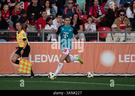 Leverkusen, Germania. 14 aprile 2025. Leverkusen, Germania, 14 aprile 2025: Martyna Wiankowska (26 FC Köln) in azione durante la Google Pixel Frauen-Bundesliga tra Bayer Leverkusen e FC Köln all'Ulrich-Haberland-Stadion di Leverkusen, Germania. (Qianru Zhang/SPP) credito: SPP Sport Press Photo. /Alamy Live News Foto Stock
