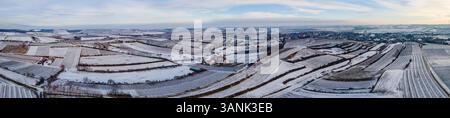 Vista aerea panoramica dei vigneti ricoperti di neve in inverno, a Poysdorf, bassa Austria, Austria. Foto Stock