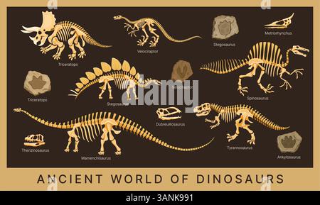 Poster del museo Dino con fossili di dinosauro, scheletri e ossa, teschi di animali preistorici e pietre di impronta. Fossili di dinosauri vettoriali triceratops, tyrannosaurus, velociraptor e stegosaurus Illustrazione Vettoriale