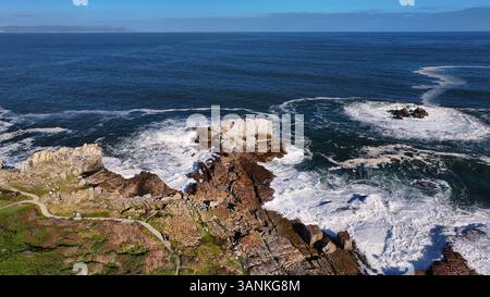 Vista aerea delle scogliere rocciose e delle onde che si infrangono lungo una splendida costa, Hermanus, Western Cape, Sud Africa. Foto Stock