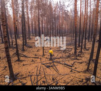 Vista aerea uomo in piedi sulla foresta in Estonia. Foto Stock