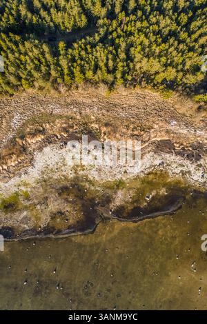 Vista aerea della fioritura delle alghe nel mare sulla riva dell'isola di Vormsi in Estonia Foto Stock
