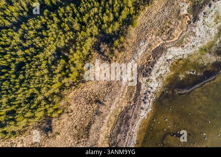 Vista aerea della fioritura delle alghe nel mare sulla riva dell'isola di Vormsi in Estonia Foto Stock