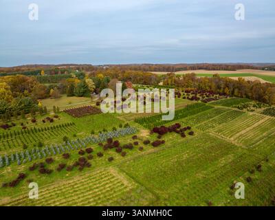 Vista aerea della Tree Farm in autunno, Hampstead, Maryland, Stati Uniti. Foto Stock