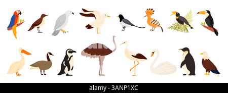 Diversi uccelli del mondo. Fauna selvatica nella giungla naturale, collezione di ornitologia con Macao e gabbiano, Aquila calva e pinguino imperatore, Hoopoe e Hornbill, illustrazione vettoriale dei cartoni animati Pelicani Illustrazione Vettoriale