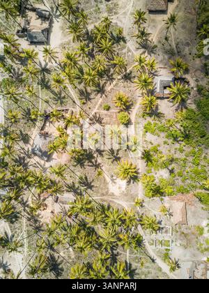 Vista aerea di case e palme sull'isola di Mafia, Tanzania. Foto Stock