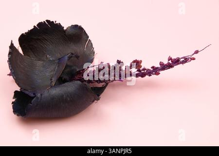 Un ambiente sereno e romantico con fiori secchi posti su una superficie rosa pastello, che crea una texture floreale rilassante Foto Stock