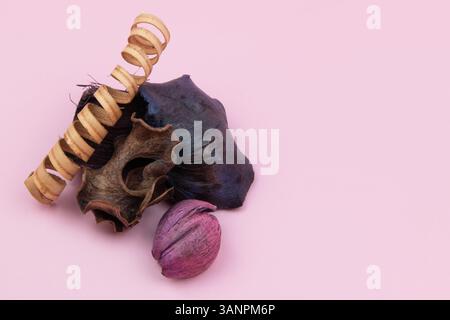 Fiori secchi in stile vintage con sfondo rosa che aggiungono un tocco di eleganza e romanticismo a un'immagine floreale Foto Stock