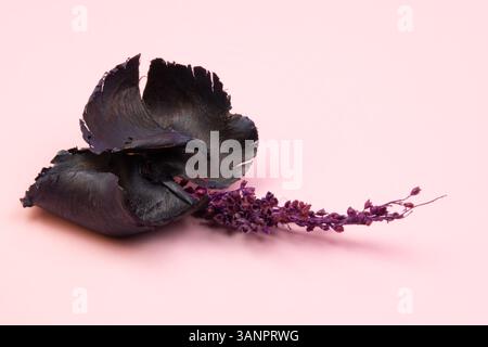 Fiori secchi splendidamente conservati sparsi su una superficie rosa chiaro, perfetti per una composizione floreale morbida, romantica e delicata Foto Stock