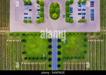 Vista aerea di un piccolo parcheggio vicino al vigneto vicino al lago Ontario, Canada. Foto Stock