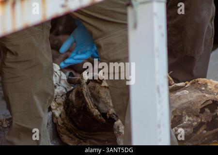 Le autorità indagano sulla scoperta di resti umani sotto un edificio abbandonato vicino al ponte internazionale a Ciudad Juárez, Messico. I team di forensi hanno lavorato per diverse ore per recuperare almeno due corpi parzialmente decomposti dal sito. Foto Stock