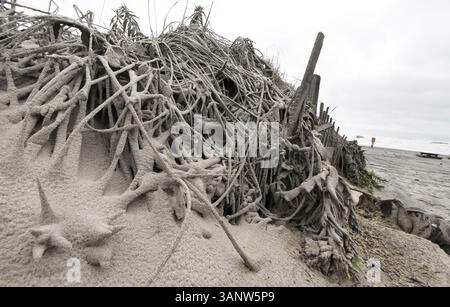 28 agosto 2011 - Atlantic City, New Jersey, USA - i detriti dopo che l'uragano Irene ha attraversato l'area sono visti domenica 28 agosto 2011 ad Atlantic City, New Jersey. (Immagine di credito: © Elizabeth Robertson/Philadelphia Inquirer/MCT/ZUMAPRESS.com) Foto Stock
