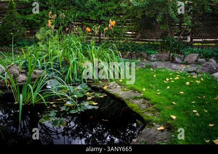 Cortile con laghetto con pesci con piante d'acqua e rocce che riflettono il cielo pomeridiano e gli alberi circostanti. Foto Stock