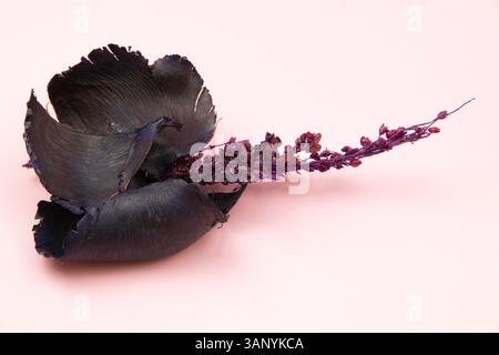 Fiori secchi e morbidi disposti su uno sfondo rosa, creano una romantica scena floreale da sogno dai toni pastello Foto Stock