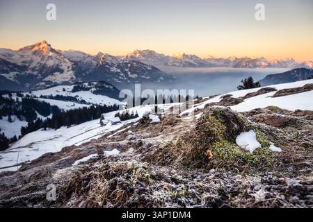 Hoarfrost su erba morta e prime radici tra neve rimane su un pascolo di fronte al panorama delle Alpi Glariche all'alba, in Svizzera Foto Stock