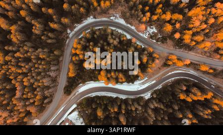 Veduta aerea di una strada tortuosa attraverso la splendida foresta autunnale con fogliame colorato, Bondo, Trentino, Italia. Foto Stock